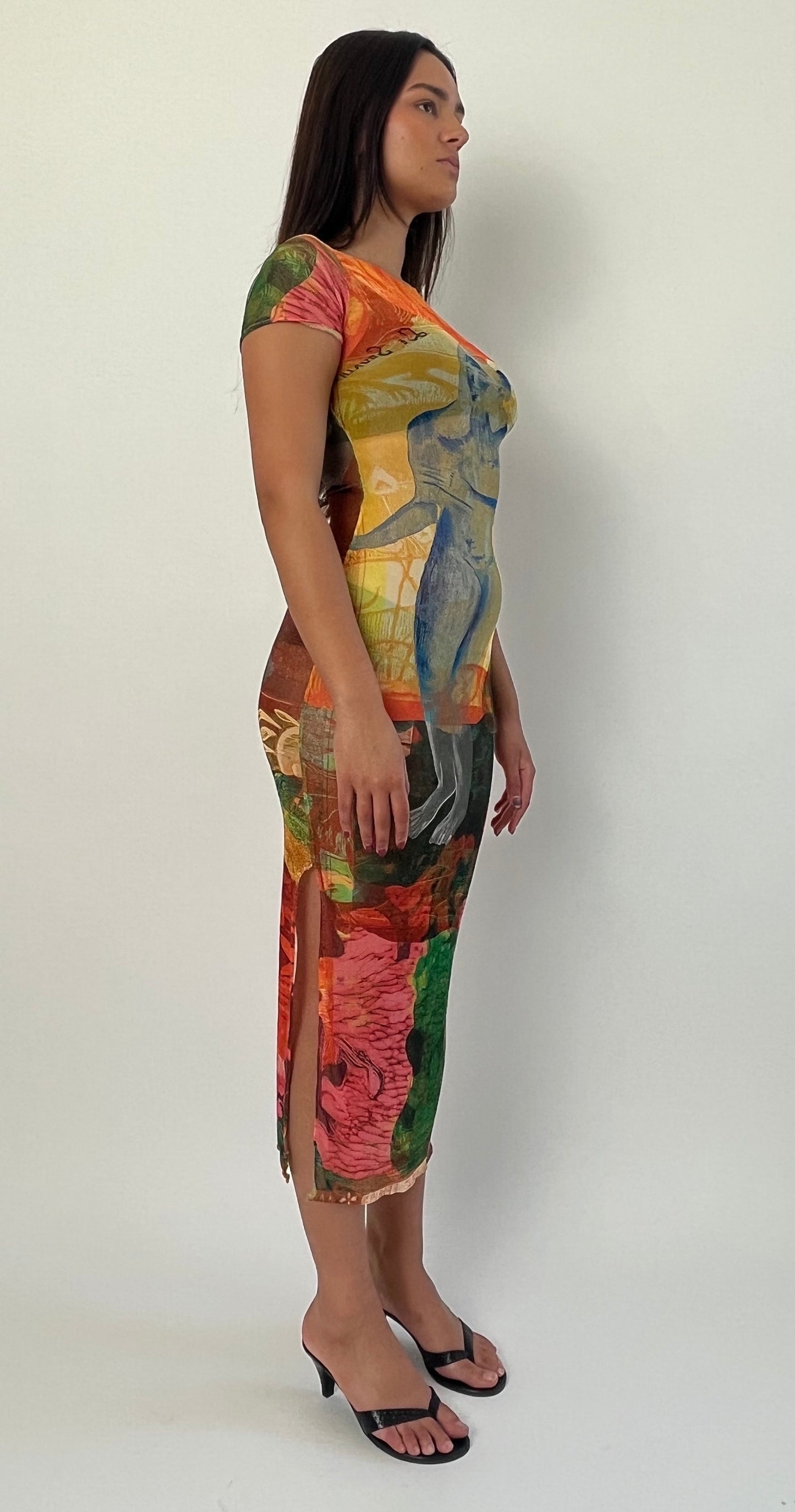 The Soleil Mesh Dress