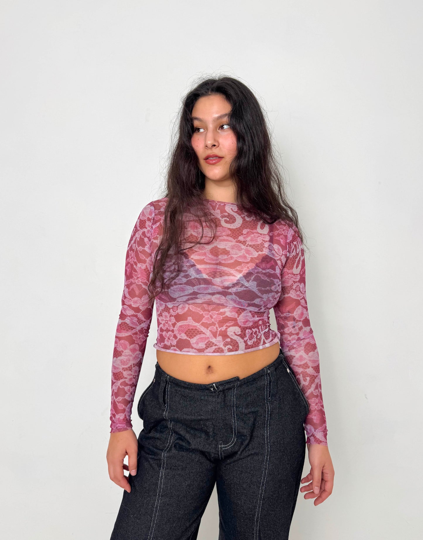 Lace Mesh Long-sleeve Top